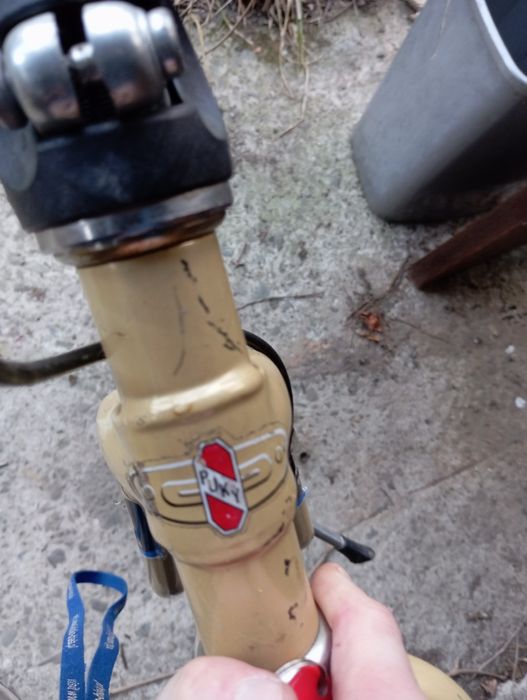 Rowerek biegowy Punk