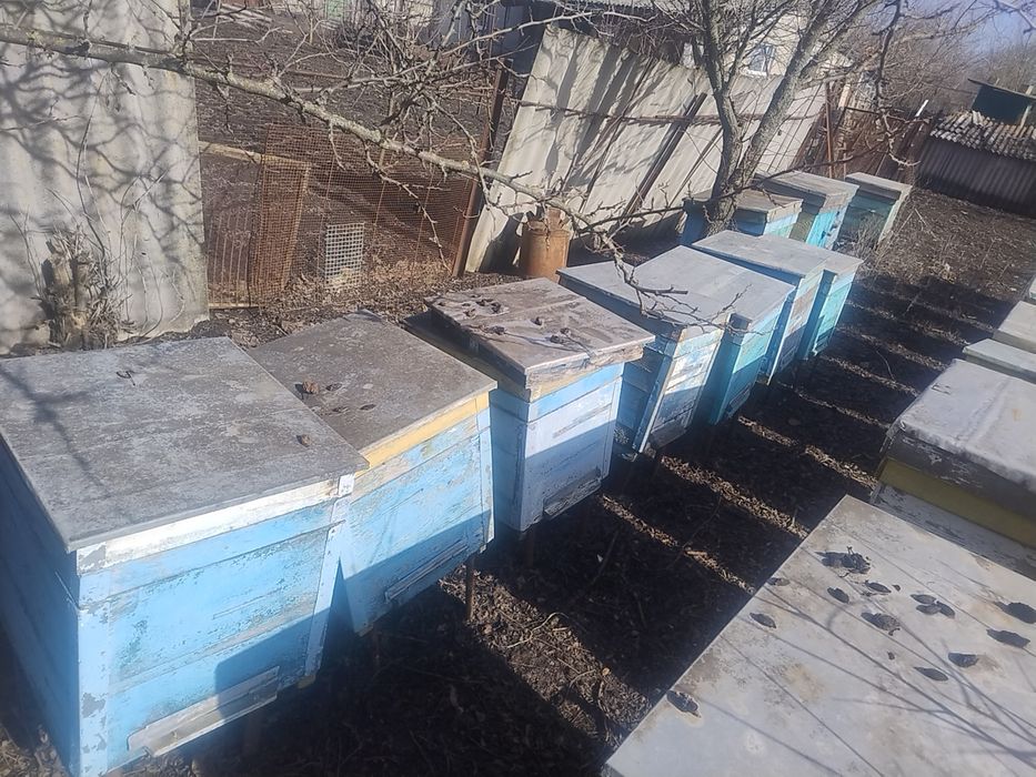 Продам вулики для бджіл