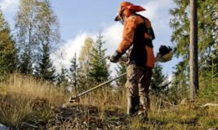 Escavações Lavoura Corta Mato