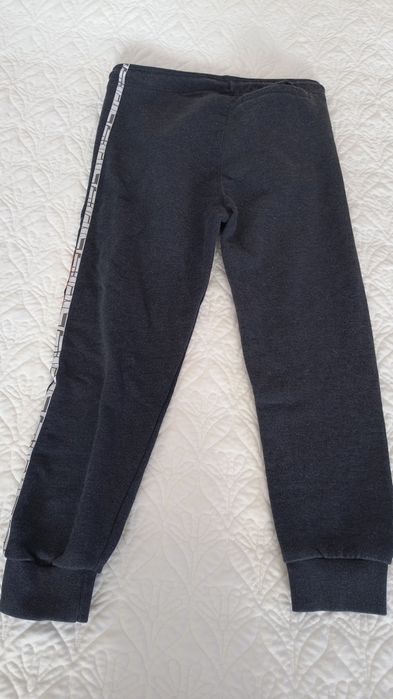 Spodnie dresowe Red Bull KTM Orange