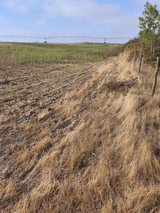 Vendo terreno de 2,5 hectares com regadio