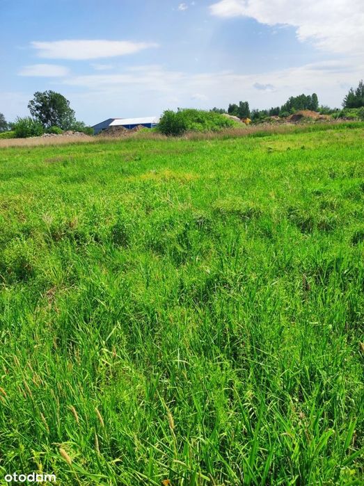 Działka HAJNÓWKA ul. Aksamitna 769 m2