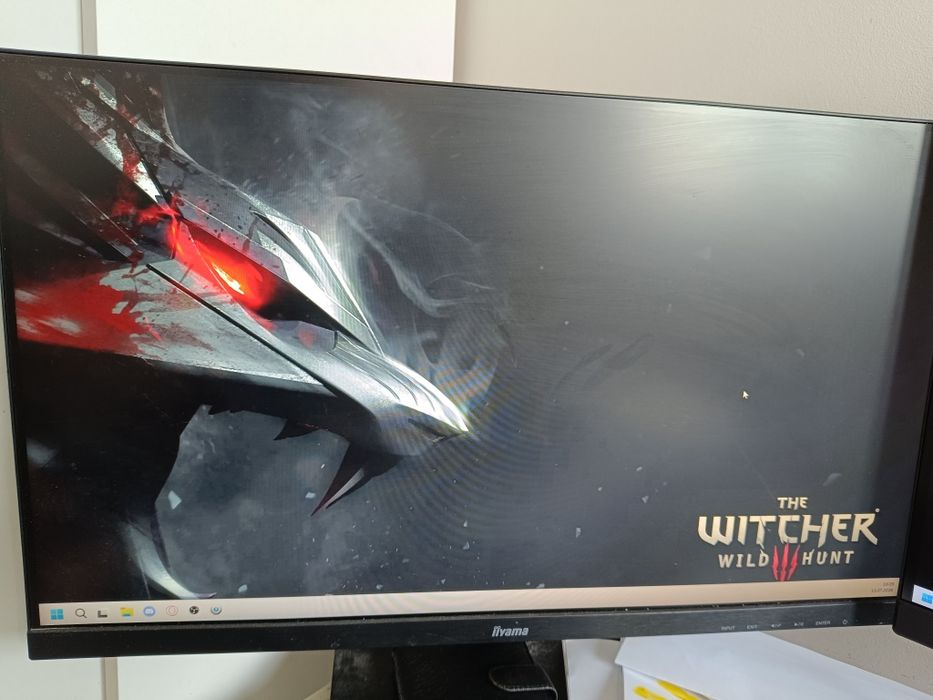 Monitor iiyama PL2530 75Hz