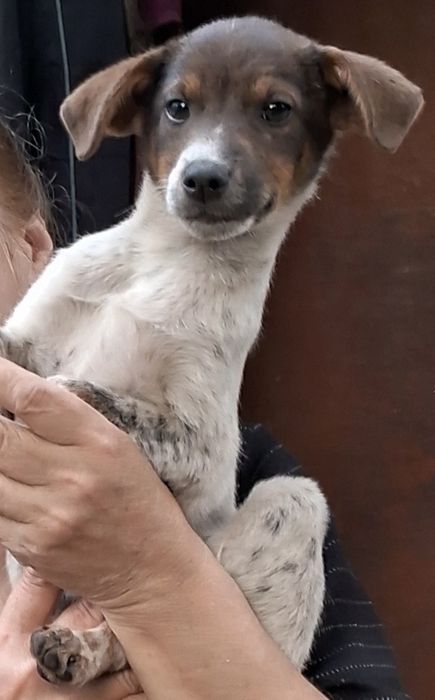 Маленький хлопчик дуже потребує родину.