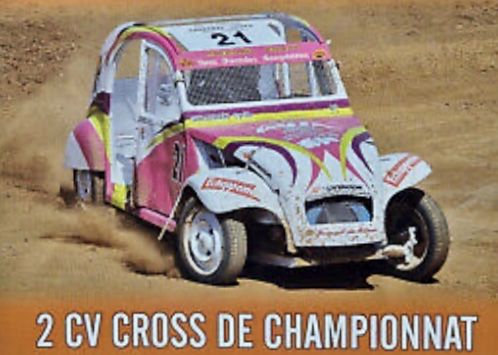 Miniaturas de carros de rali rally wrc