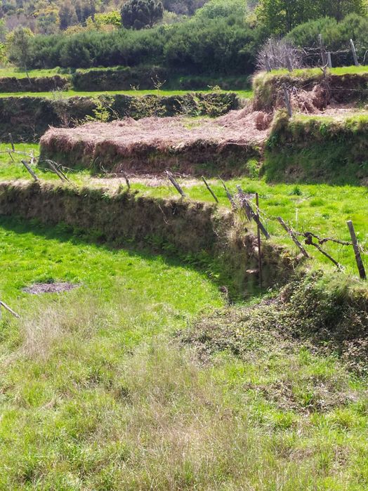 Casa em Lugar de Cabreiros-Arouca