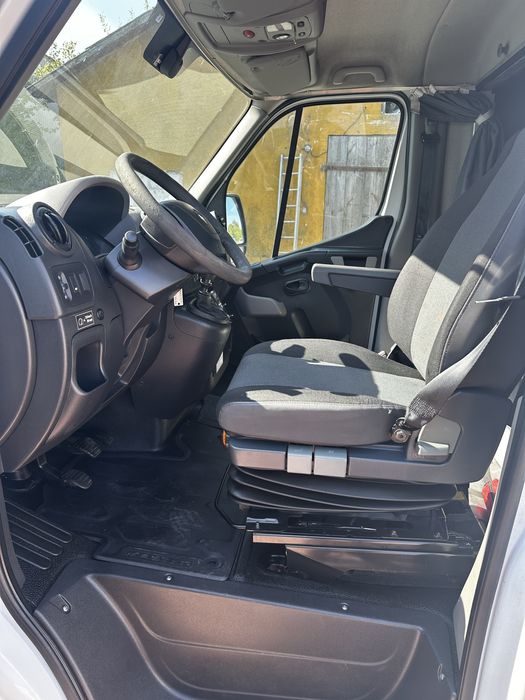 Renault Master do transportu piskląt