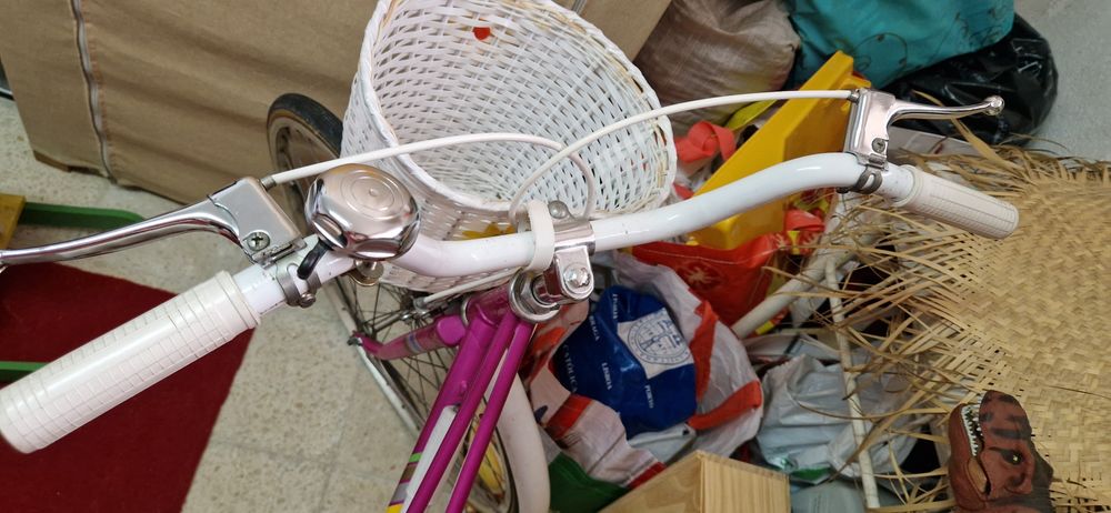 Bicicleta Órbita Clássica