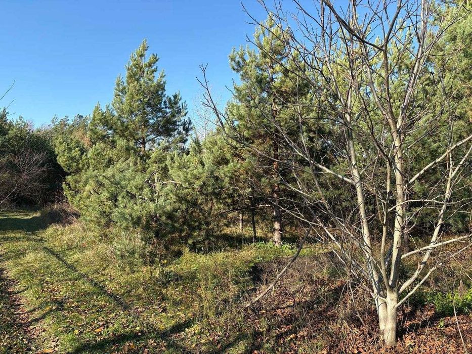 Земельна ділянка під базу відпочинку з виходом до лісу!