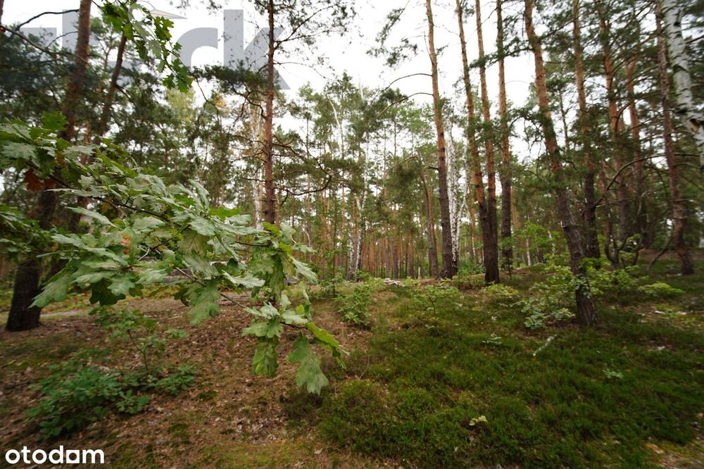 Działka budowlana na Wydmach  2221 m2 - bez prowizji