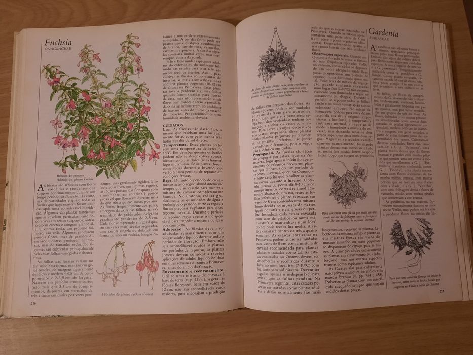 O grande livro das plantas de interior