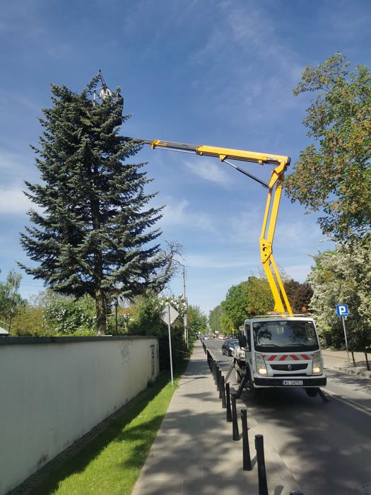 Wycinka drzew / rębak do gałęzi / czyszczenie działek / frezowanie pni