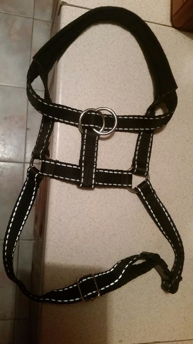 szelki dla psa sprzedam