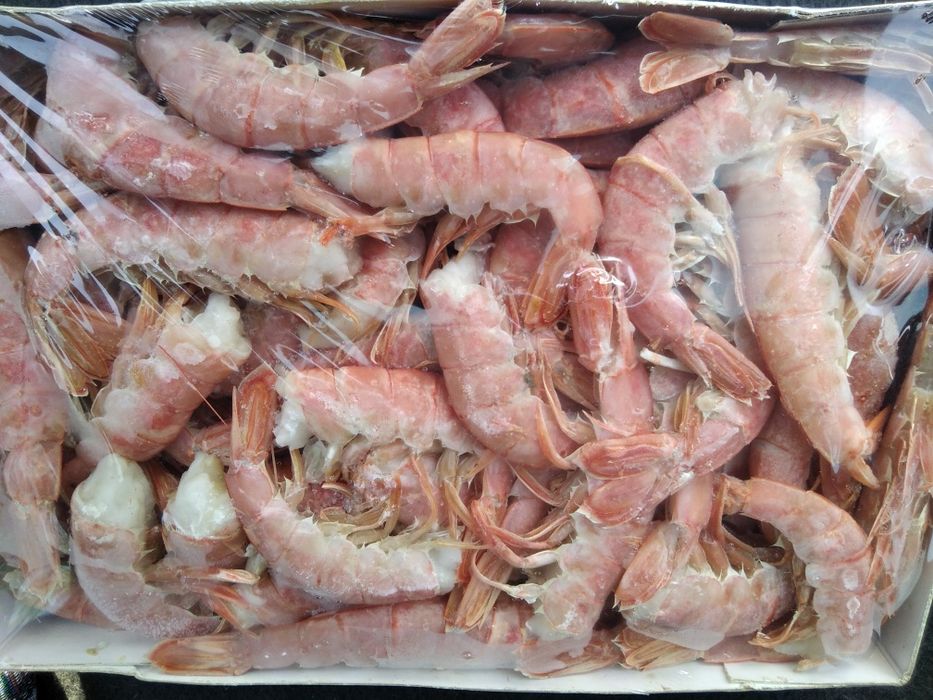 Червона риба/Лосось/Форель охоложденна