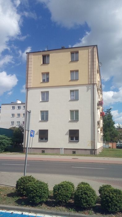 Zdjęcie 7
