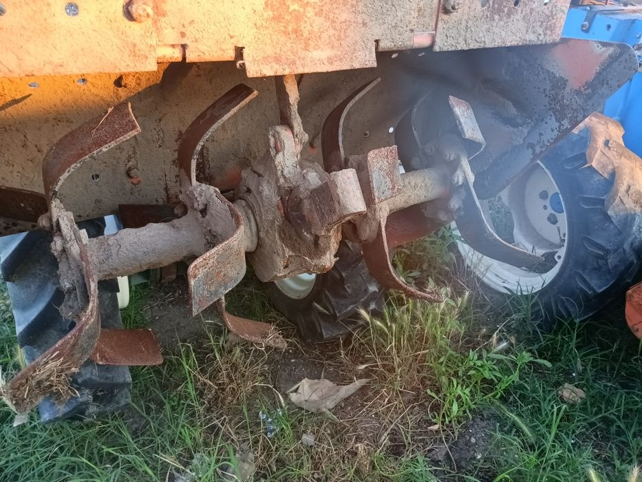 Horta , quintal , terra macia ,  sem frese ?