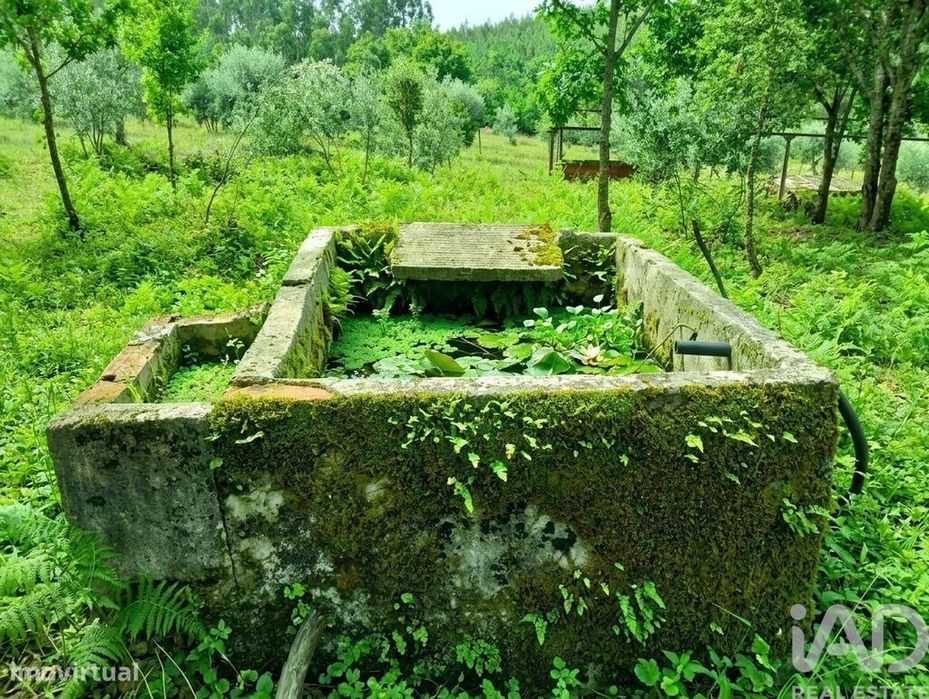 Quinta em Graça