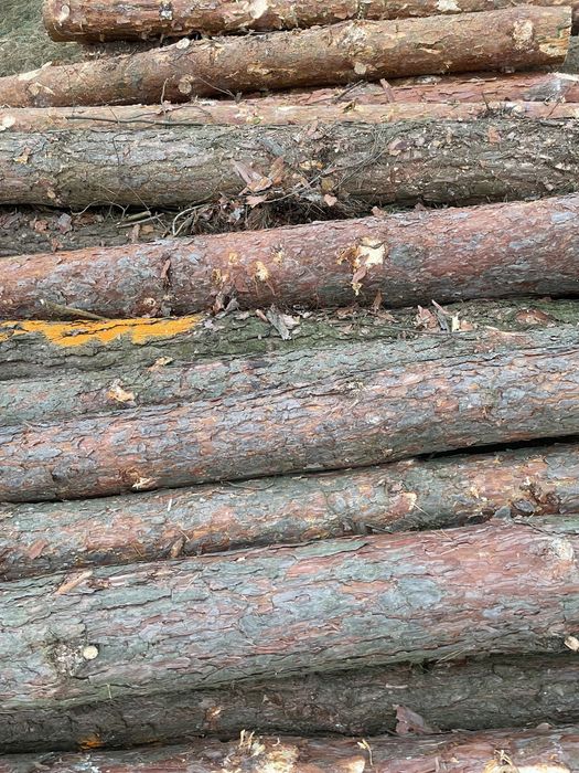 Drewno sosna S2B paletówka