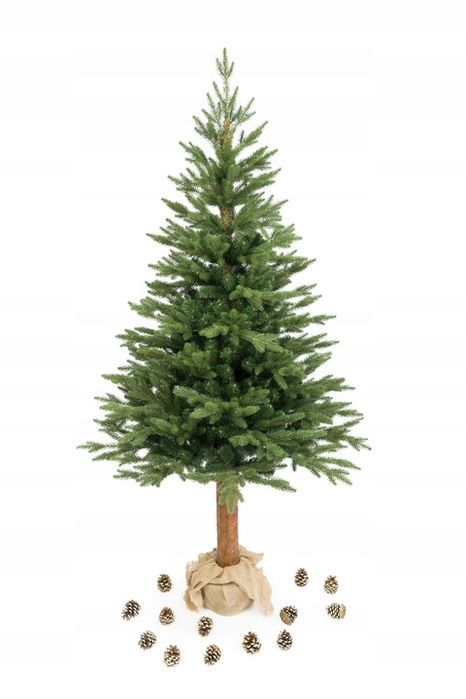 piękna choinka świerk kaukaski premium pe na pniu 180 cm