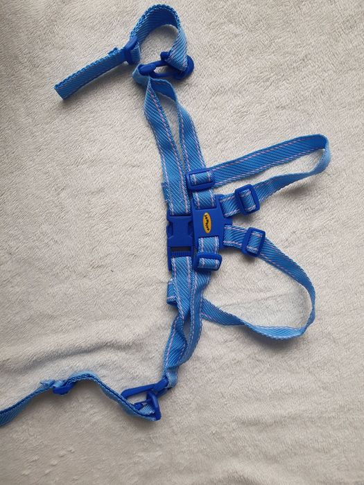 regulowane szelki pasy dla dziecka bambino