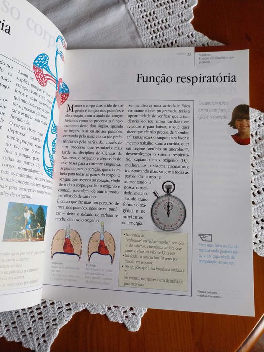 Manual de Educação Física, 2º Ciclo - 5º e 6º ano, Areal Editores