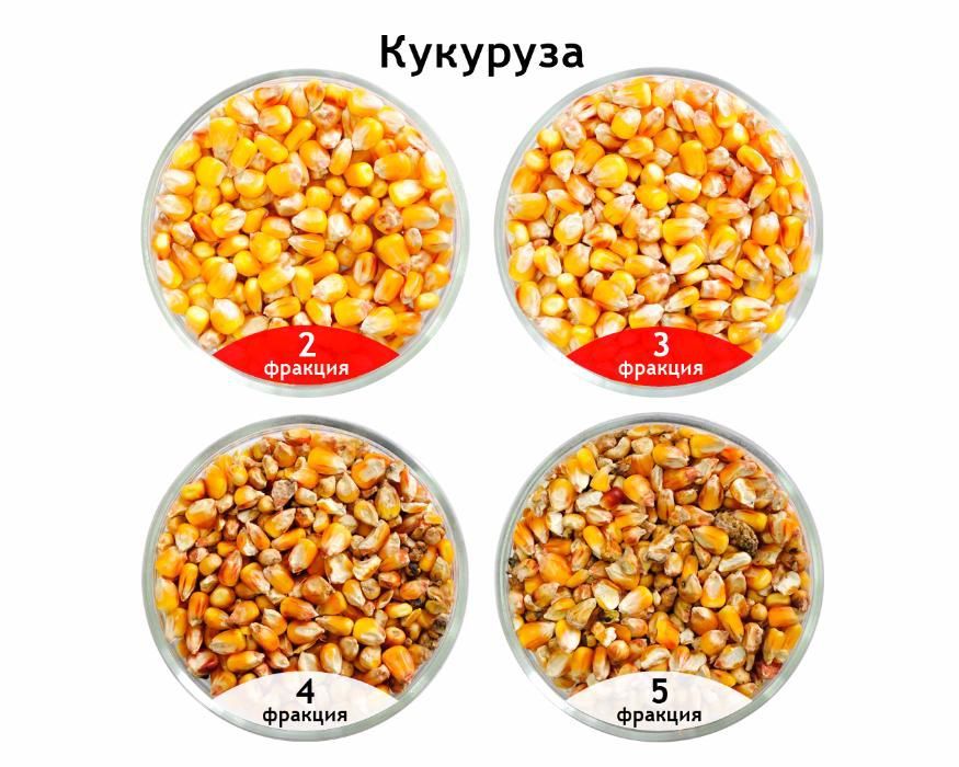 Сепаратор САД-5 и Сепаратор СПО предварительная очистка зерна.