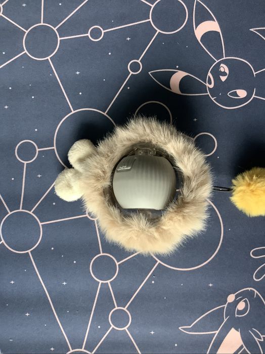 Mądre zabawki dla kota