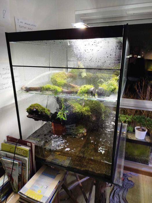 Vendemos aquário - paludário, nova opção!