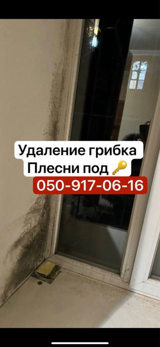 Удалени плесени - удаление грибка под ключ с гарантией - год