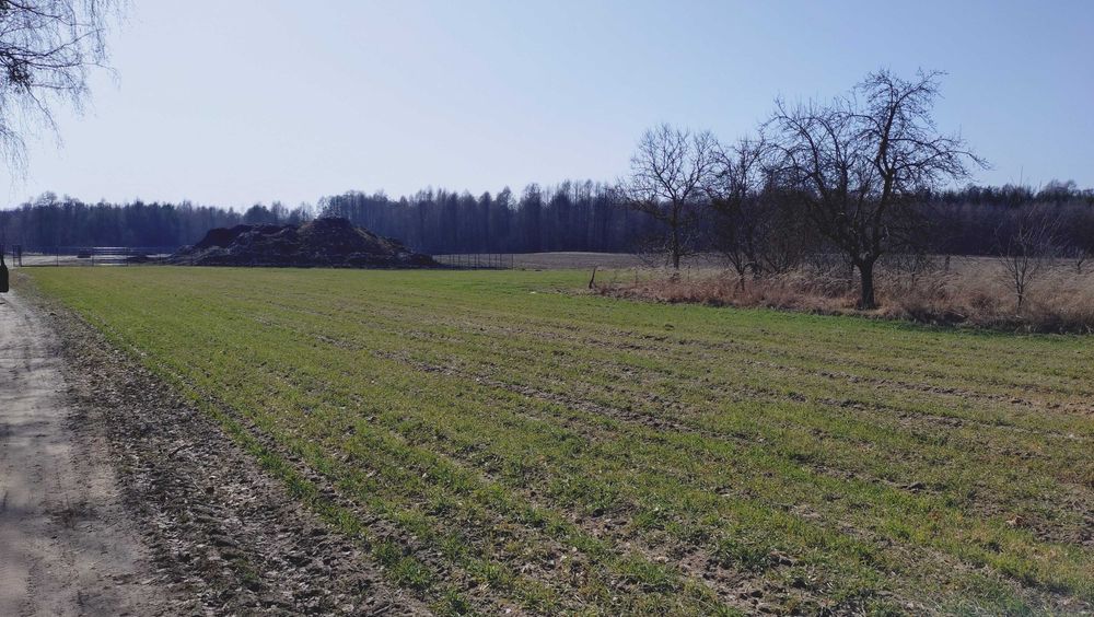 Działka budowlana nad jeziorem Gumienko przy lasach parczewskich, 18 arów, Stara Jedlanka, gm. Uścimów, OKAZJA !!! - Widok 5