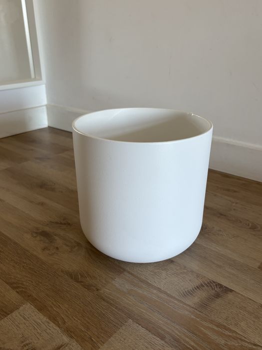 Vaso branco planta