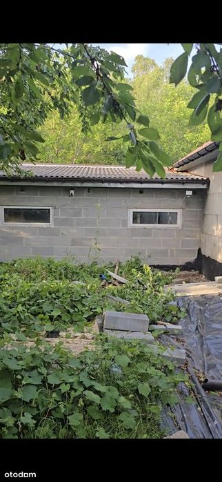 Sprzedam dom z działką w spokojnej okolicy na wsi 50579374trzy - Widok 2
