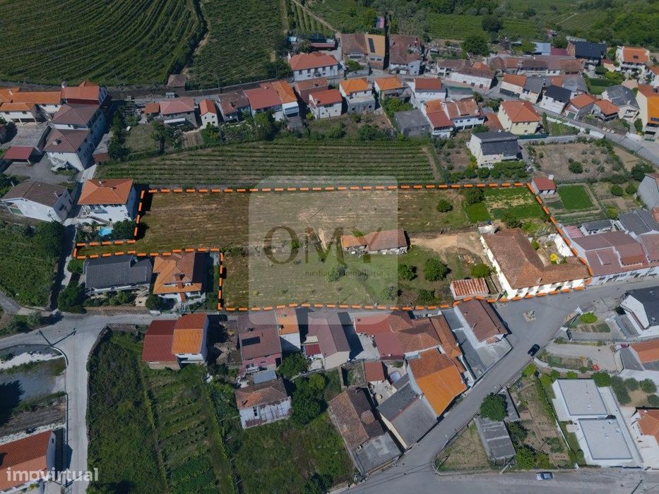 Quintinha Alto Douro Vinhateiro com Moradia Brasonada