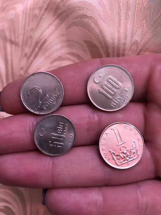 Могеты цена за все