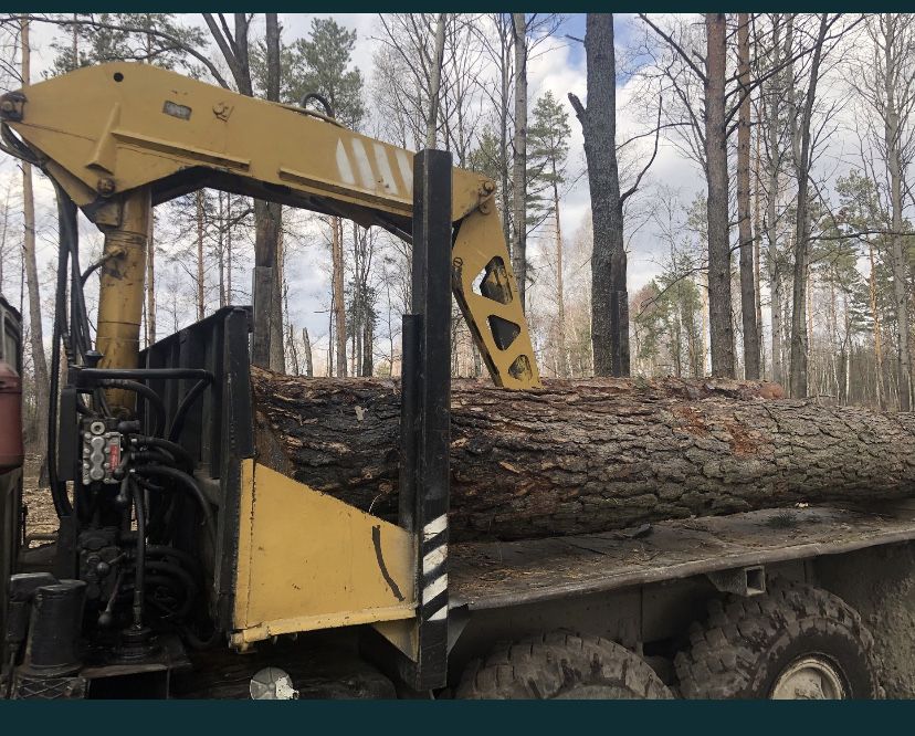 Маніпулятор