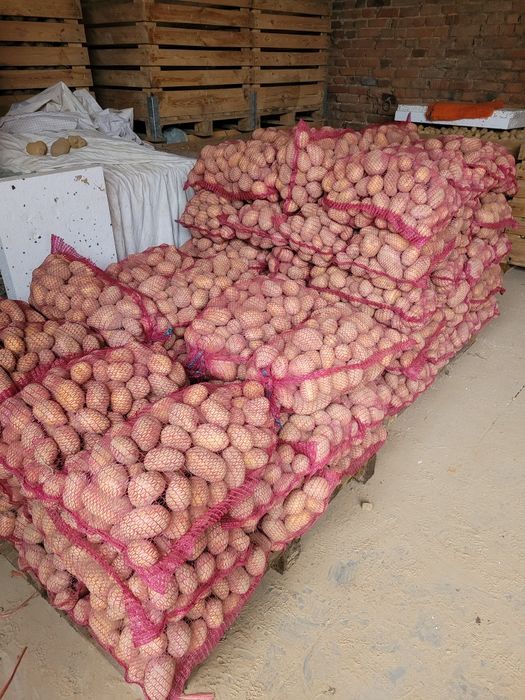 Sprzedam ziemniaki