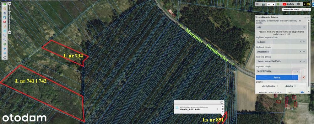 Kompleks inwestycyjny 4,42 ha (Łąki i Lasy) • Siemkowice - Widok 3
