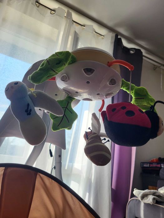 Huśtawka bujaczek bugies