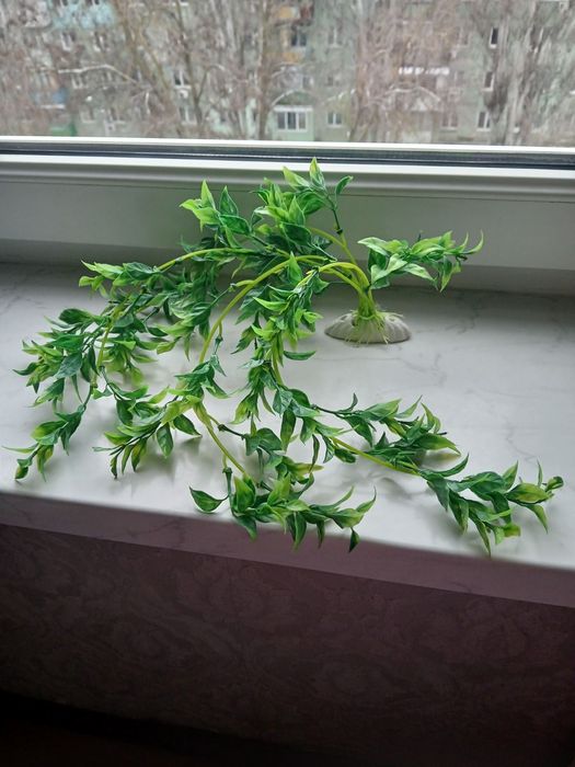 Акваріум-ваза для рибок і квітів