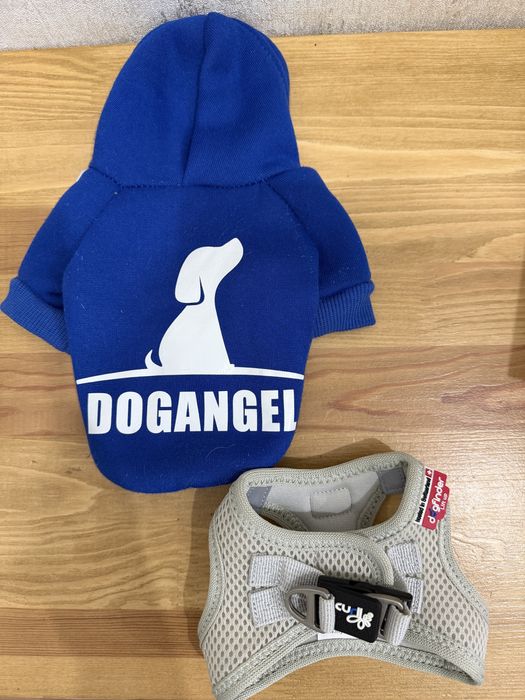 Речі доя маленької собаки, цуценя