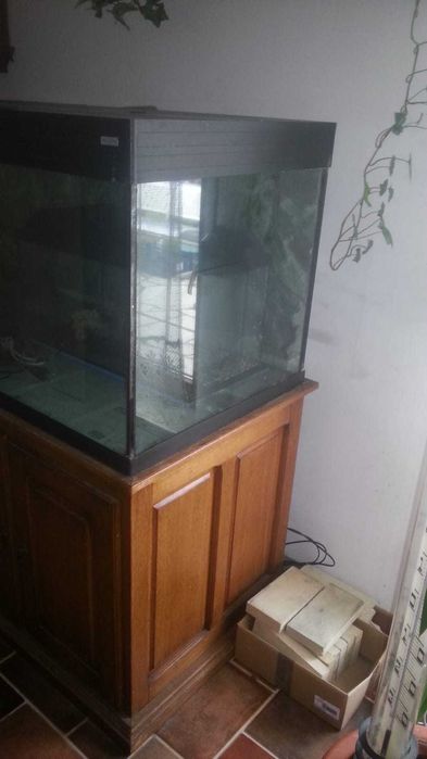 Akwarium 160 wys 55 szer 60