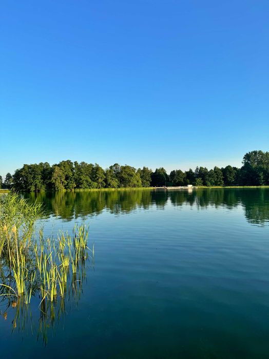 Domek W Dolinie Rospudy do Wynajęcia! Własna linia brzegowa!