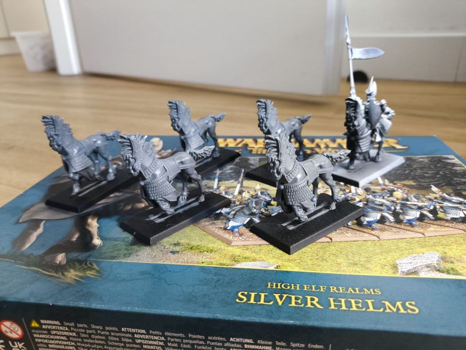 Warhammer Old World High Elf Realms Silver Helms Elves 6 figurek