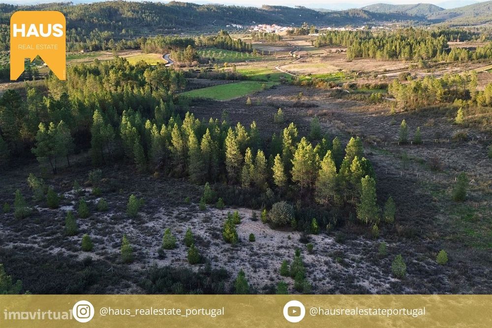 Terreno com 11.880 m² à venda em Castelo Branco.