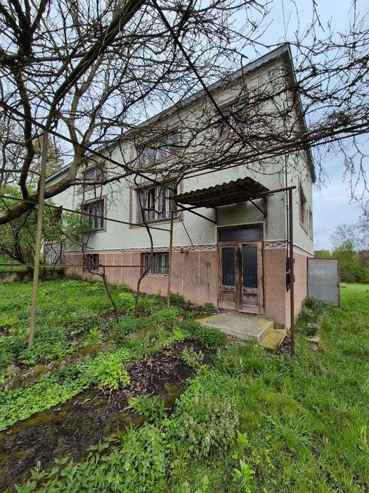 Продаються два будинки на просторій ділянці 25 соток в с. Бедевля