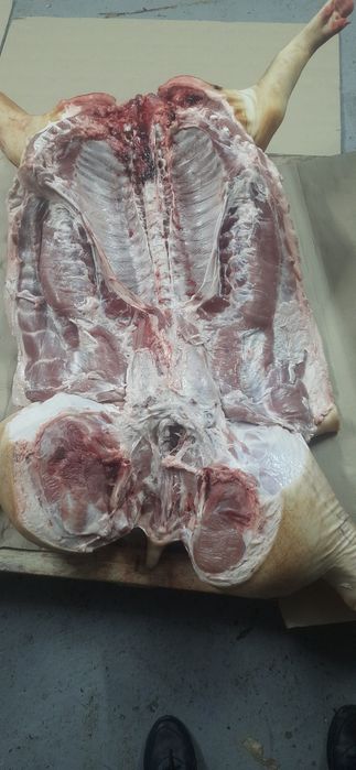 Туші свині з документами