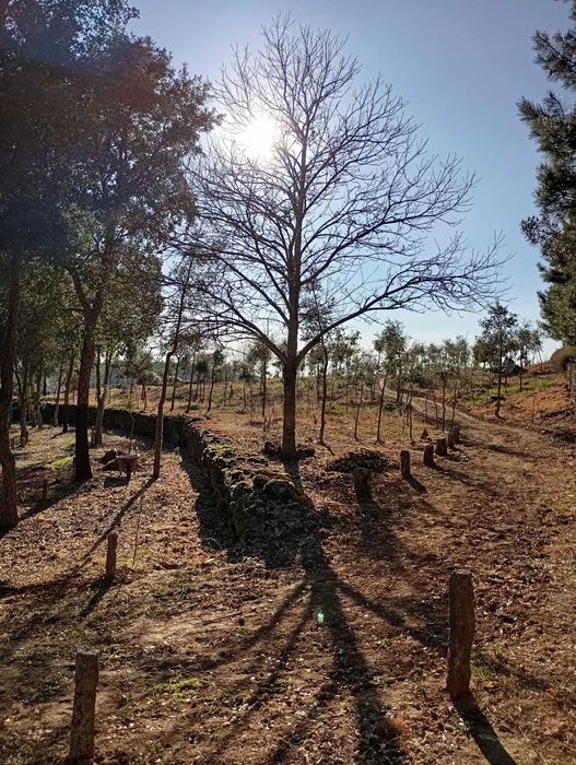 Casa estilo bangalô