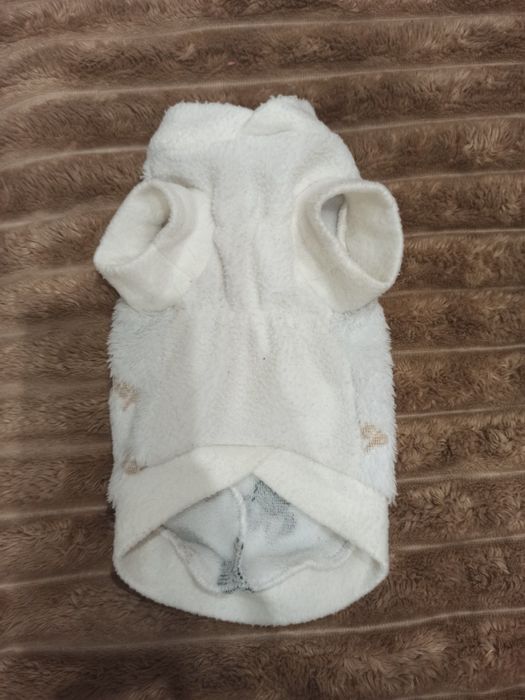 Одяг для чихуахуа