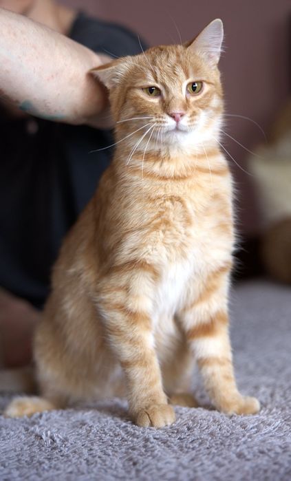 Czekamy na wspólny domek.