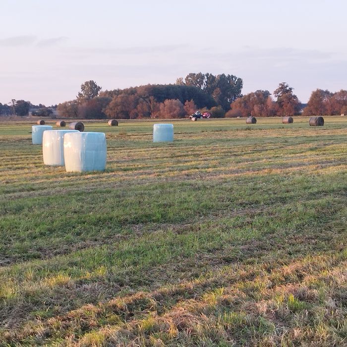 Sprzedam sianokiszonkę oraz siano i słomę